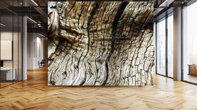 Wood Wall mural