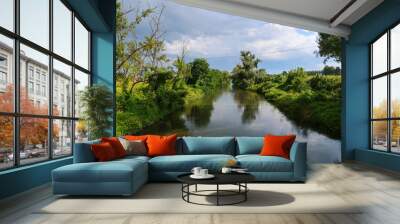 Olona river panorama nature natural landscape vision water plants beautiful Wall mural