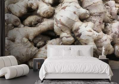 Whole roots of fresh ginger. Wall mural