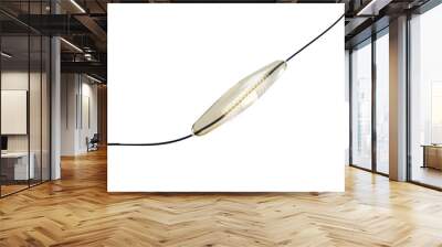 mesh metal nitinol self-expandable stent 3D rendering for endovascular surgery isolated on white background. Clipping path. Wall mural