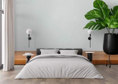 Kitchen wooden countertop on white wall background. Minimalist room with tabletop and plant in vase. Wall mural