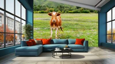 Beautiful young cow is grazing in meadow with juicy grass and flowers. Red cow in the summer pasture. Wall mural