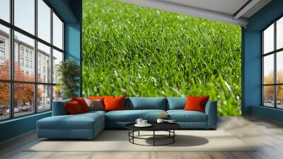 Green grass background Wall mural