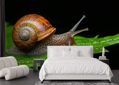 A close-up of a snail crawling on a leaf, representing the slow, delicate balance of nature Wall mural