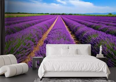 A lavender field in full bloom, with rows of purple flowers stretching toward the horizon under a blue sky Wall mural