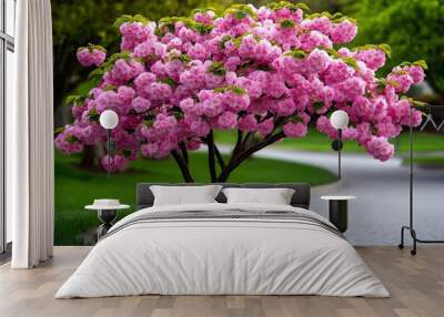 Blossoms, pink hues, vibrant and lively cover the branches of trees, transforming the landscape Wall mural