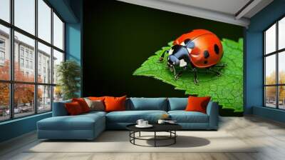 Ladybugs, exploring leaves, curious and busy move with purpose as they search for aphids Wall mural