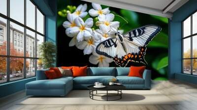 Moths and jasmine flowers, night visitors, fragrant blooms show the allure of scent in the dark Wall mural