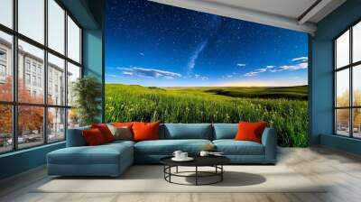 Starry skies stretching over a vast prairie, with the horizon glowing faintly as the night deepens Wall mural