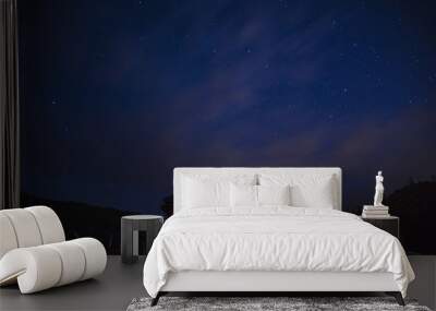 Wonderful starry sky above the farm house. Wall mural