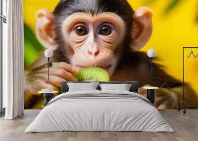  baby monkey eating kiwi slices on a wooden table against a colorful background. Concept of animals and healthy eating Wall mural