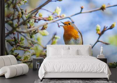 European robin bird Erithacus rubecula singing Wall mural