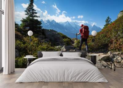 A man hiking on the famous Tour du Mont Blanc near Chamonix, France. Wall mural