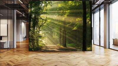 Sun rays shining through the trees in the forrest. Wall mural