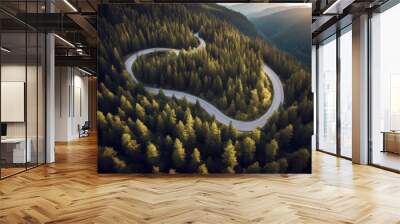 'view aerial road pass winding mountain pine high dense trough green woods roadway trip car vehicle transportation transport truck rural destination vacation summer overhead highway driving' Wall mural