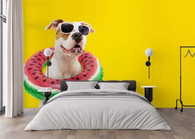 Banner dog summer going on vacations. American Staffordshire  inside an inflatable swimming pool ring. Isolated on yellow background Wall mural