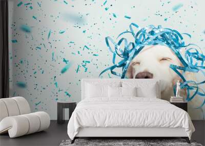 Banner happy dog present for new year, carnival,  christmas, birthday or anniversary, wearing a blue serpentines on head. isolated against gray background with confetti falling. Wall mural