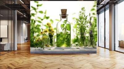 bottle essential oil herbs herb herbal natural organic plant medicine medicals ingredient kitchen leaf thyme treatment wellness spice spa rosemary sage nature cookery essence cooking collection Wall mural