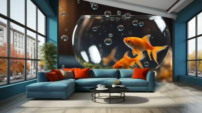 bubbles goldfish bowl air animal aquarium aquatic background beautiful clear close concept conceptual fish fishbowl glasses gold into isolated liquid macro marin mid pet splash splashing spring still Wall mural