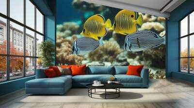 butterflyfishes turtle reptile animal asia asian blue caribbean coral couple deep destination diving exotic fish landscape maldives marin nature ocean red sea reef scuba snorkeling siam travel Wall mural