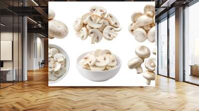 White champignon button Agaricus bisporus mushroom fungus fungi vegetable, many angles and view side top front bowl slice isolated on transparent cutout, PNG file. Mockup template for artwork design Wall mural