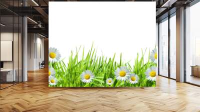 grass with white daisies against a white Wall mural