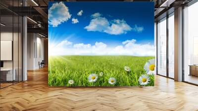 wild daisies in the grass with a blue sky Wall mural