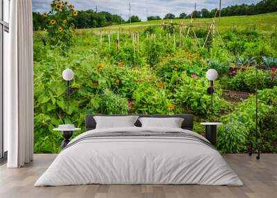 Colorful Community Garden - Albany NY Wall mural