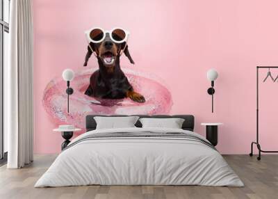 Happy dachshund puppy dog summer inside of an inflatable with sunglasses. Isolated on pink pastel background Wall mural