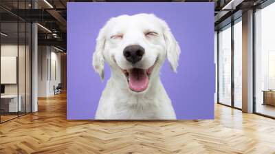 happy puppy dog smiling on isolated purple background. Wall mural