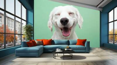 Happy smiling puppy dog expression, Isolated on green background Wall mural