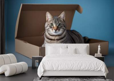 sitting background cat tabby box blue cute cardboard grey adorable alone animal beautiful care carnivore cardbox copy curious domestic felino fluffy friends funny fur game gift hairy happy hiding Wall mural