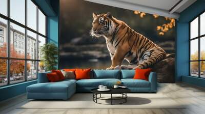 tier wildes tiger tigerzoocatfelinoanimalpantheralion zoo cat felino animal panthera Wall mural