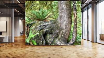 Tree trunk in the shape of an elephant Wall mural