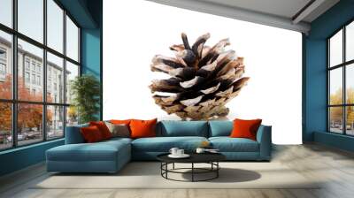 One pine cone over white background Wall mural