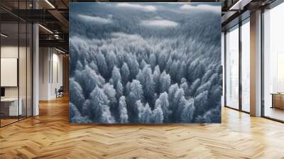 view clouds background serene Travel aerial Forest trees scenery Winter Landscape Snow Nature Tree Woods Misty Lifestyle Pine Foggy Wild Wall mural