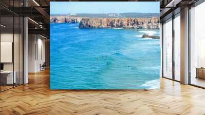 view from the top of a cliff Wall mural