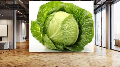 white isolated cabbage raw vegetable ingredient grocery antioxidant agriculture consumer cooking cookery culinary diet dinner food fresh garden green organic health mineral nature nutrient plant pro Wall mural