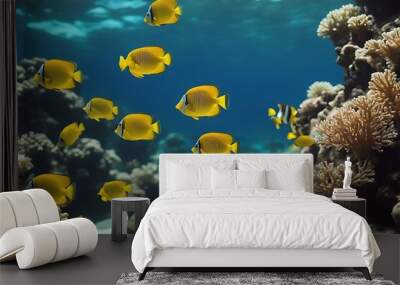 world red fishes underwater coral sea fish water reef ocean egypt nature marin animal tropical wildlife aqualung travel colourful life dive snorkeling aquarium exotic blue caribbean aquatic hawaii Wall mural