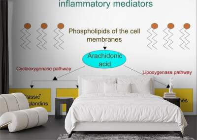 Derivatives of arachidonic acid  Wall mural