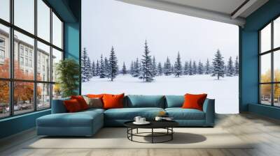 Fir trees in winter snow Wall mural