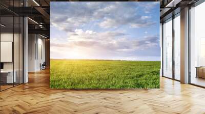 Green meadow and blue sky with clouds and sun with rays Wall mural