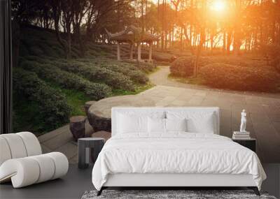 tea garden in China at sunset Wall mural