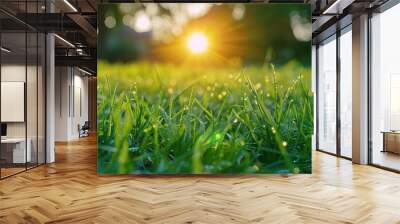 Droplets on grass field close up Wall mural