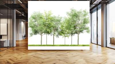 Cutout of green trees on transparent background, png plant, 3d render illustration. Wall mural