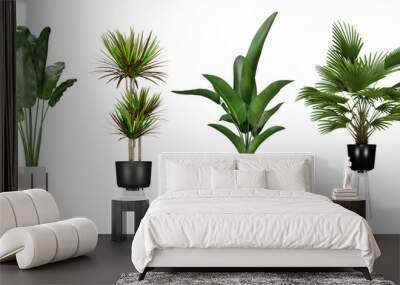 set of plant in a pot isolated on white background, 3d render illustration. Wall mural