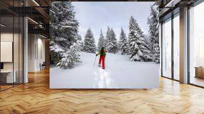 Adventurer is walking in snowshoes among huge pine trees c Wall mural