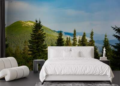 Mountain ridges, covered with coniferous woods Wall mural