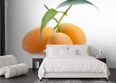 Marian plum, Plum mango, Maprang Fruit isolated on white background. Fruit of Thailand Wall mural