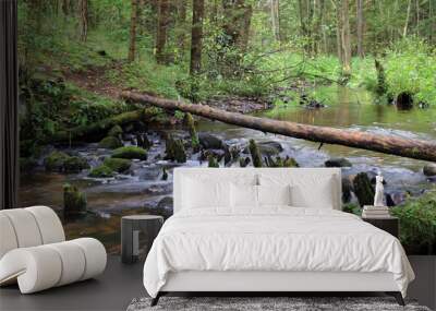 a stream in the wild forest Wall mural